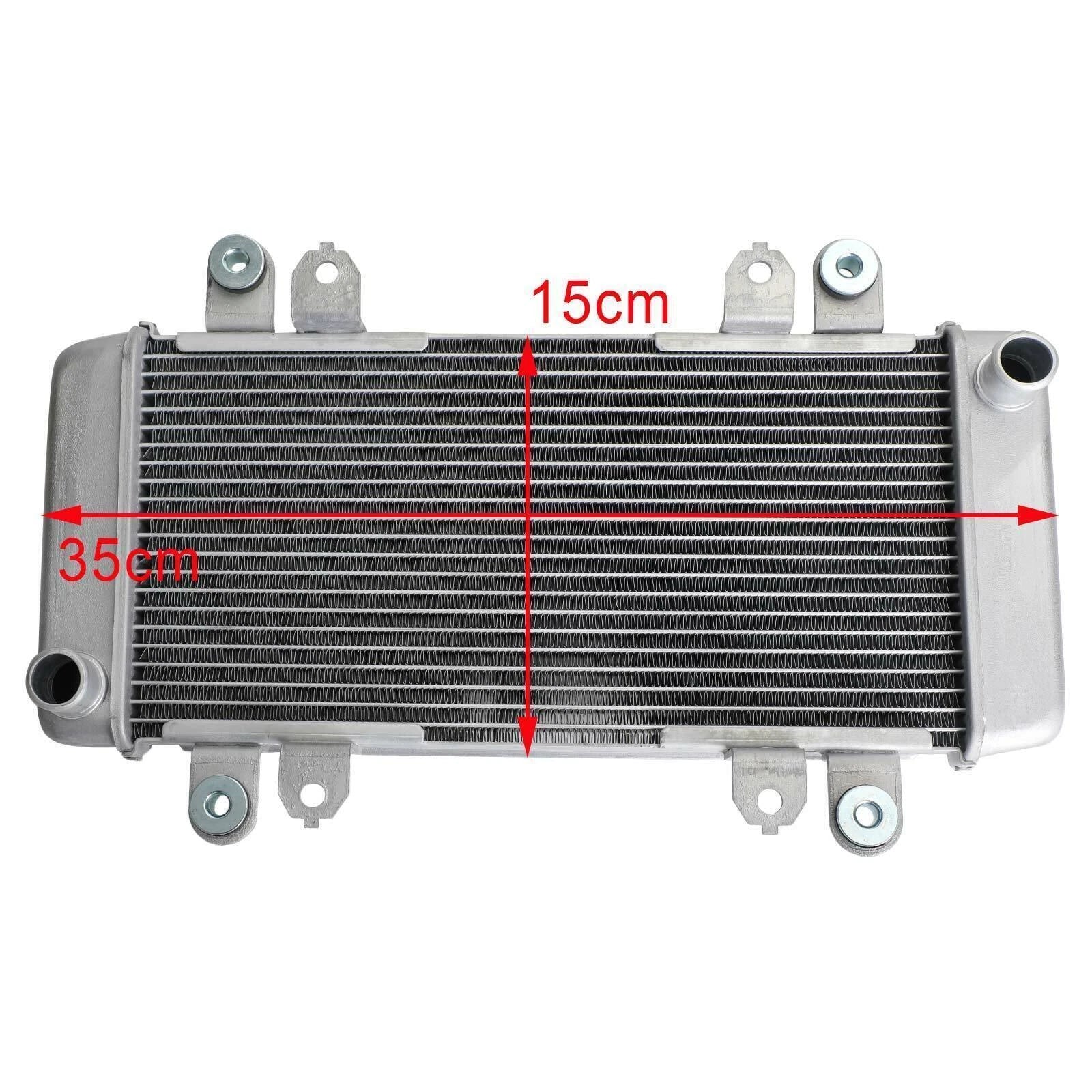 Radiator Guard for Kawasaki Ninja 300 EX300 (2013–2017) T9