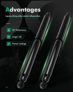 Pair Rear Shock Absorber Struts for Ford F-150 (2015–2020) AWD
