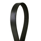 Serpentine Belt for Hyundai Veloster, Kona, Toyota Country LTD