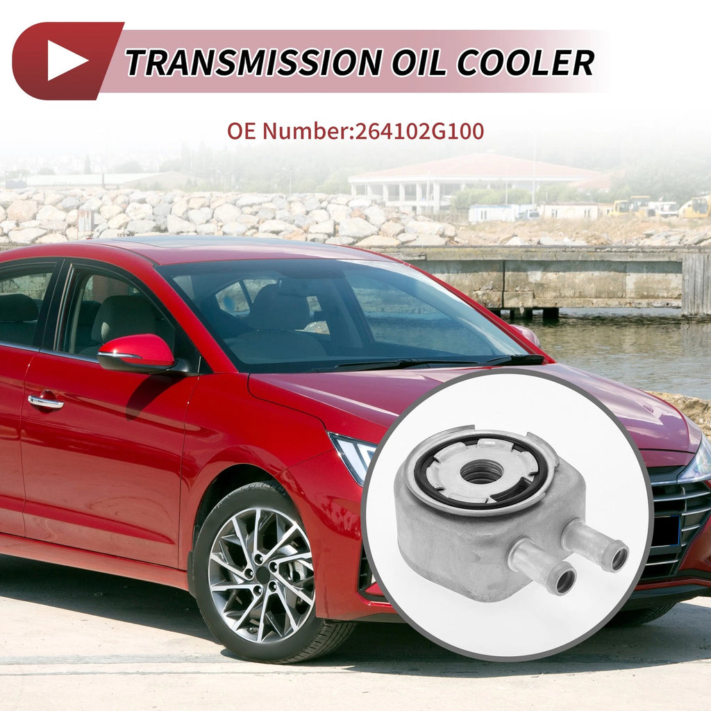 Engine Oil Cooler for Hyundai Santa Fe (No. 264102G100)