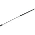 Lift Support for Toyota Tundra, Sequoia (2007–2018)