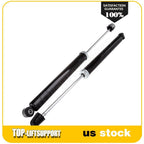 Pair Rear Shocks for Ford Focus (2000–2011)