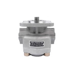 Hydraulic Pump 2451000 for Iseki S650 S550 Bolens G152 G154 G174 H1502 (–)