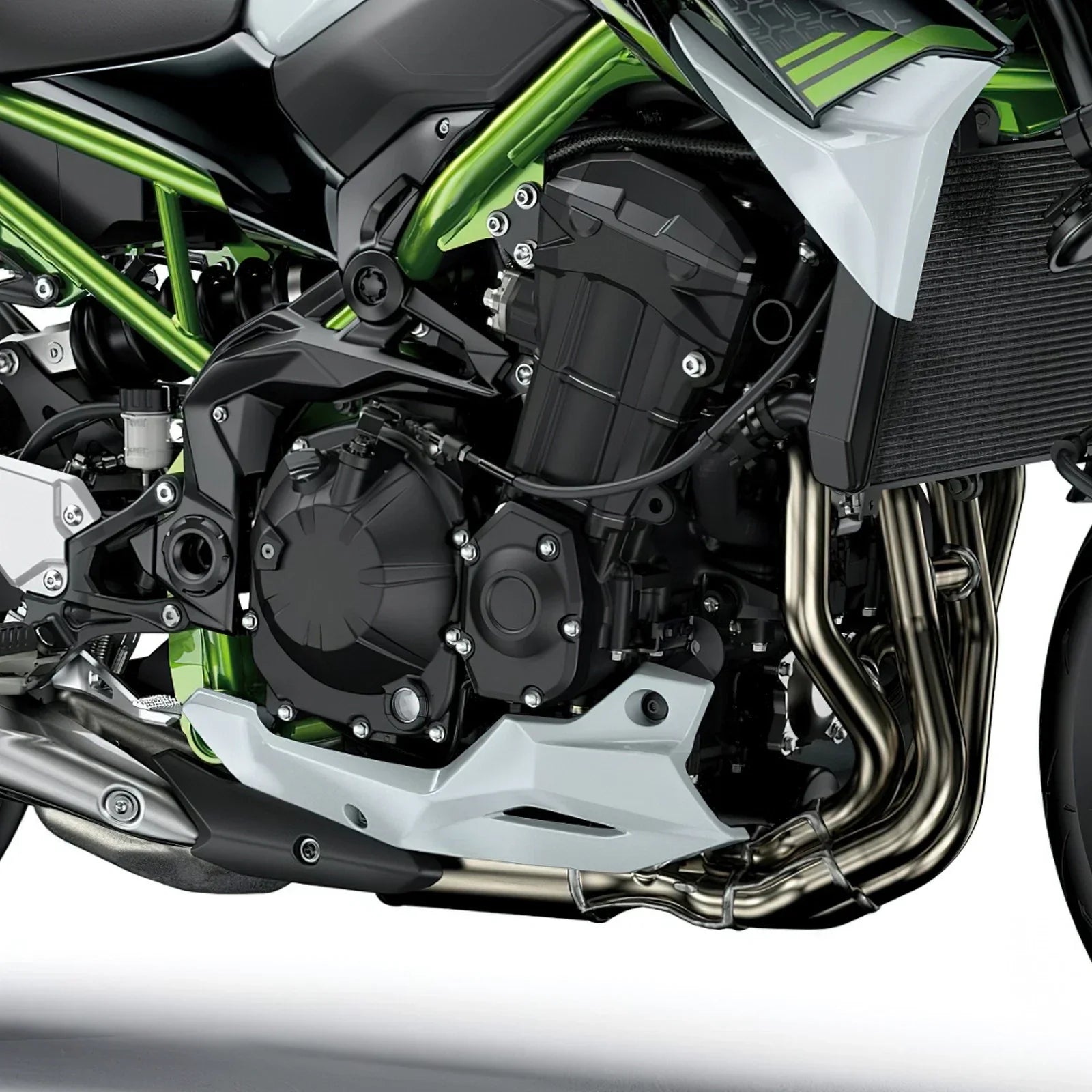 Stator Cover Case for Kawasaki Z900 (2017 - 2025)