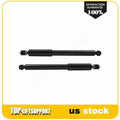Set of 2 Rear Shocks for Nissan Juke AWD