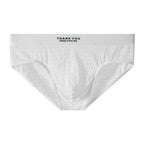 2X See Through Low Rise Mesh Briefs with U Pouch for Men