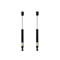 Trunk Lid Lift Support for - Rear Driver & Passenger Side