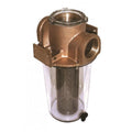 1 1/4 in. Groco Intake Strainer with Filter Basket for ARG-1210S (N/A)