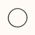 O-Ring for Sea-Doo / Can-Am 900 (2014–2026) 008-599-28