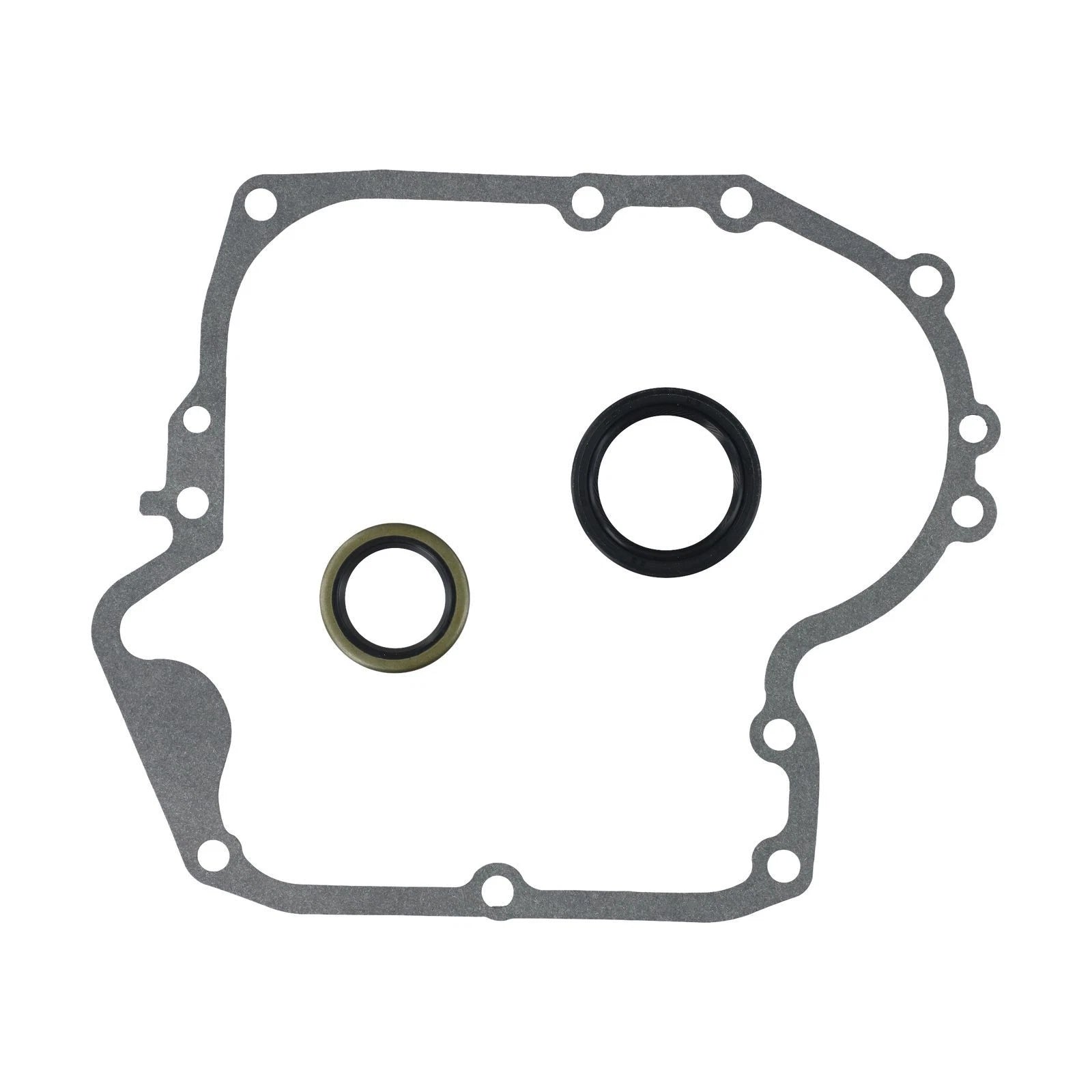 Crankcase Gasket and Oil Seal Set for (697110, 795387, 272475s)