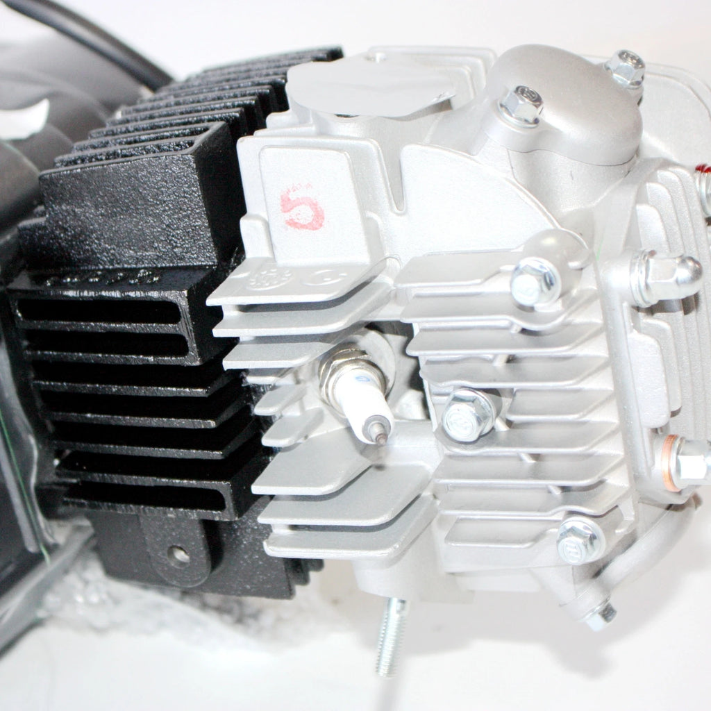 Lifan 125cc Manual Clutch Engine for PIT PRO TRAIL DIRT BIKE ATV (2010–2023)