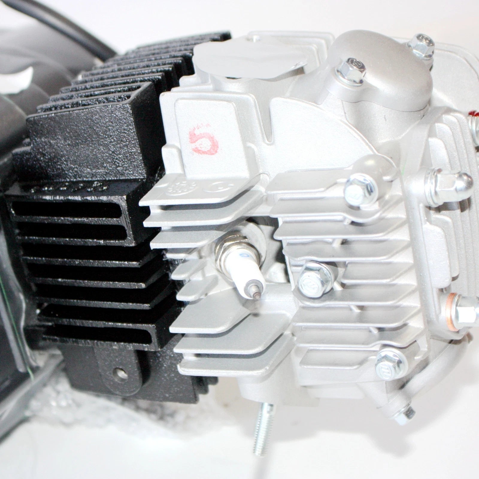 Lifan 125cc Manual Clutch Engine for PIT PRO TRAIL DIRT BIKE ATV (2010–2023)