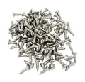 Stainless Sill Plate Screws Phillips Head for GM (Set of 100) (1900–2020)