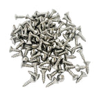 Stainless Sill Plate Screws Phillips Head for GM (Set of 100) (1900–2020)