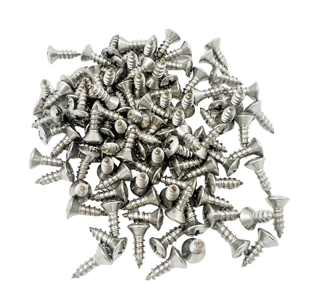 Stainless Sill Plate Screws Phillips Head for GM (Set of 100) (1900–2020)