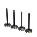 Intake & Exhaust Valve Set for EZGO Gas 4 Stroke 295cc 350cc (1996–Present)