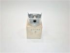 Sealed Power 273AP Marine Engine Cast Piston for Ford Motors