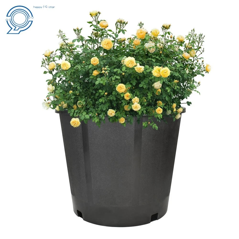 Set of 10 Thermoformed 3 Gallon Black Nursery Pots for Plants
