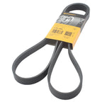 Contitech Serpentine V-Belt 6PK1660 for BMW E36 318i 318is 318ti (1992–1999)