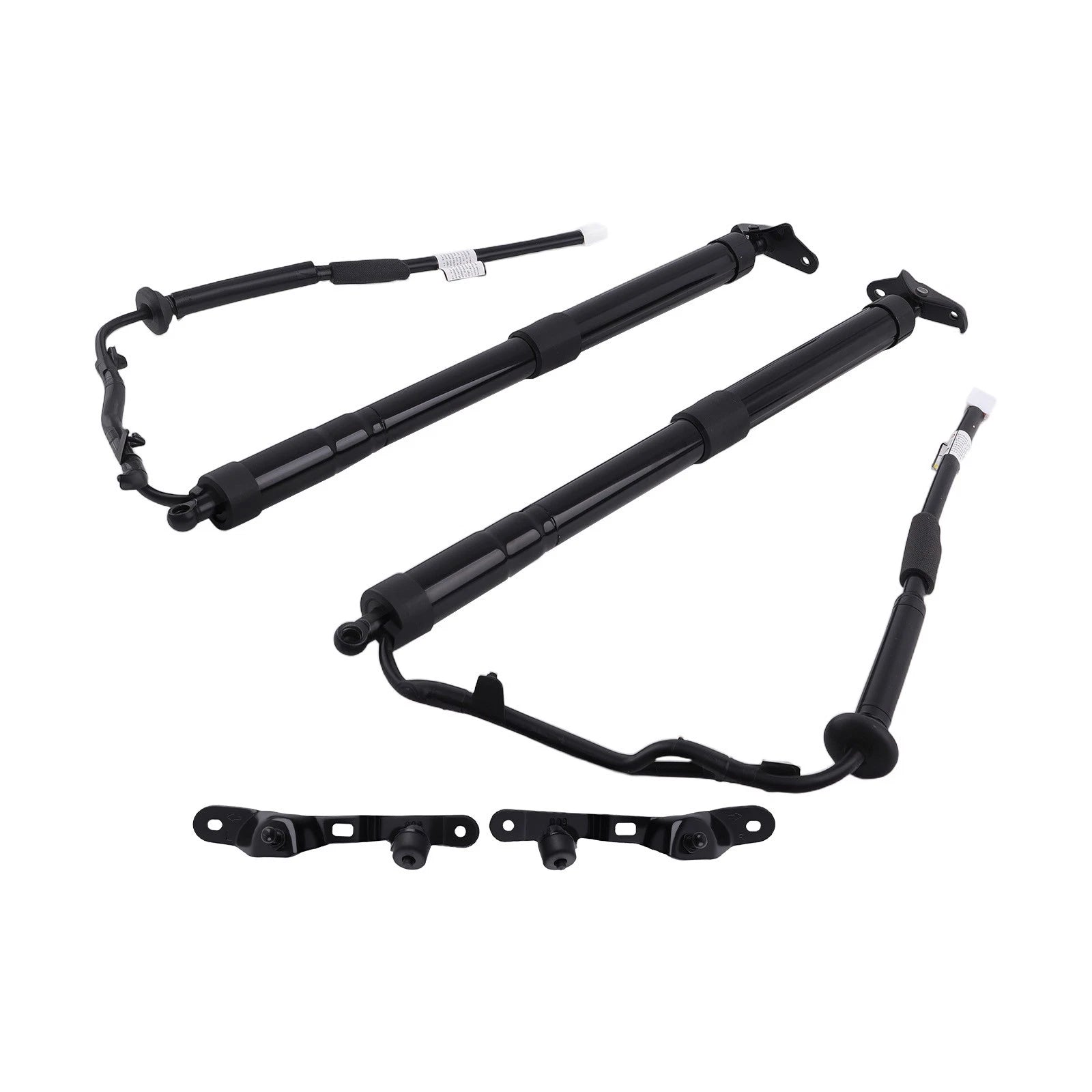 2PC Tailgate Lift Support Shock for Toyota RAV4 Limited (2019–2023)