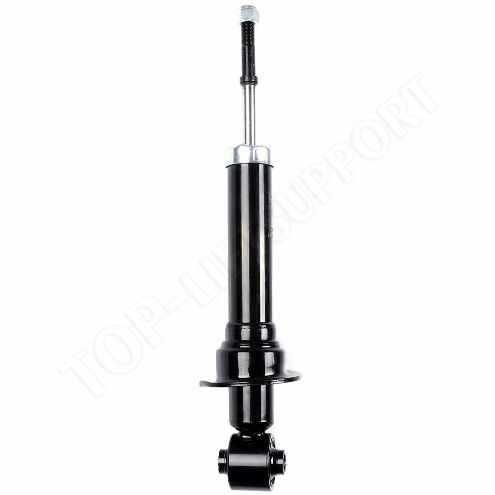 Rear Pair Shocks for Scion tC 2.4L (2005–2010)