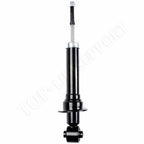 Rear Pair Shocks for Scion tC 2.4L (2005–2010)