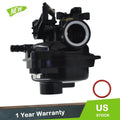 Carburetor for Briggs & Stratton 550EX (09P702)