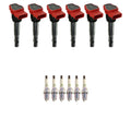 Set of 6 NGK Ignition Coils & Platinum Spark Plugs for Audi A5 A6 Q5 (2005–2012)