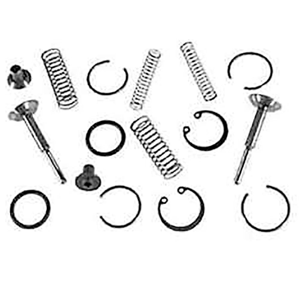 Repair Kit 1810678M1 for Massey Ferguson 390 390T 392S 398 399 40E 550 565 (UK)