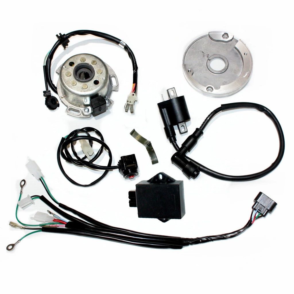 Magneto Stator Wiring Harness Loom for Lifan W150 (150cc)