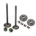Intake Exhaust Valves with Seals Spring for Honda XR75/80/100/80R (1975–1999)