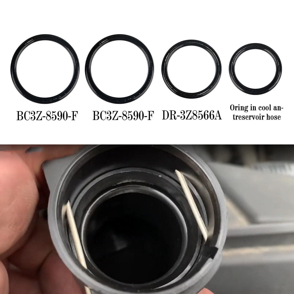 Set of 4 Coolant Hose O-Rings for Ford F-150, Mustang (2011–2018)