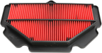 HIFLOFILTRO Air Filter for Suzuki (HFA3613)