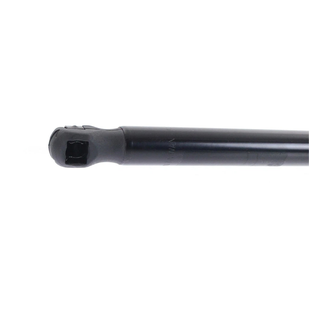 Lift Support for Toyota Avalon (2005–2012) Left or Right