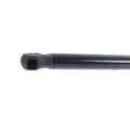 Lift Support for Toyota Avalon (2005–2012) Left or Right