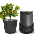 Set of 5 Heavy Duty Plastic Nursery Pots for Plants (1/2/3/5/7/10/15 Gallon)