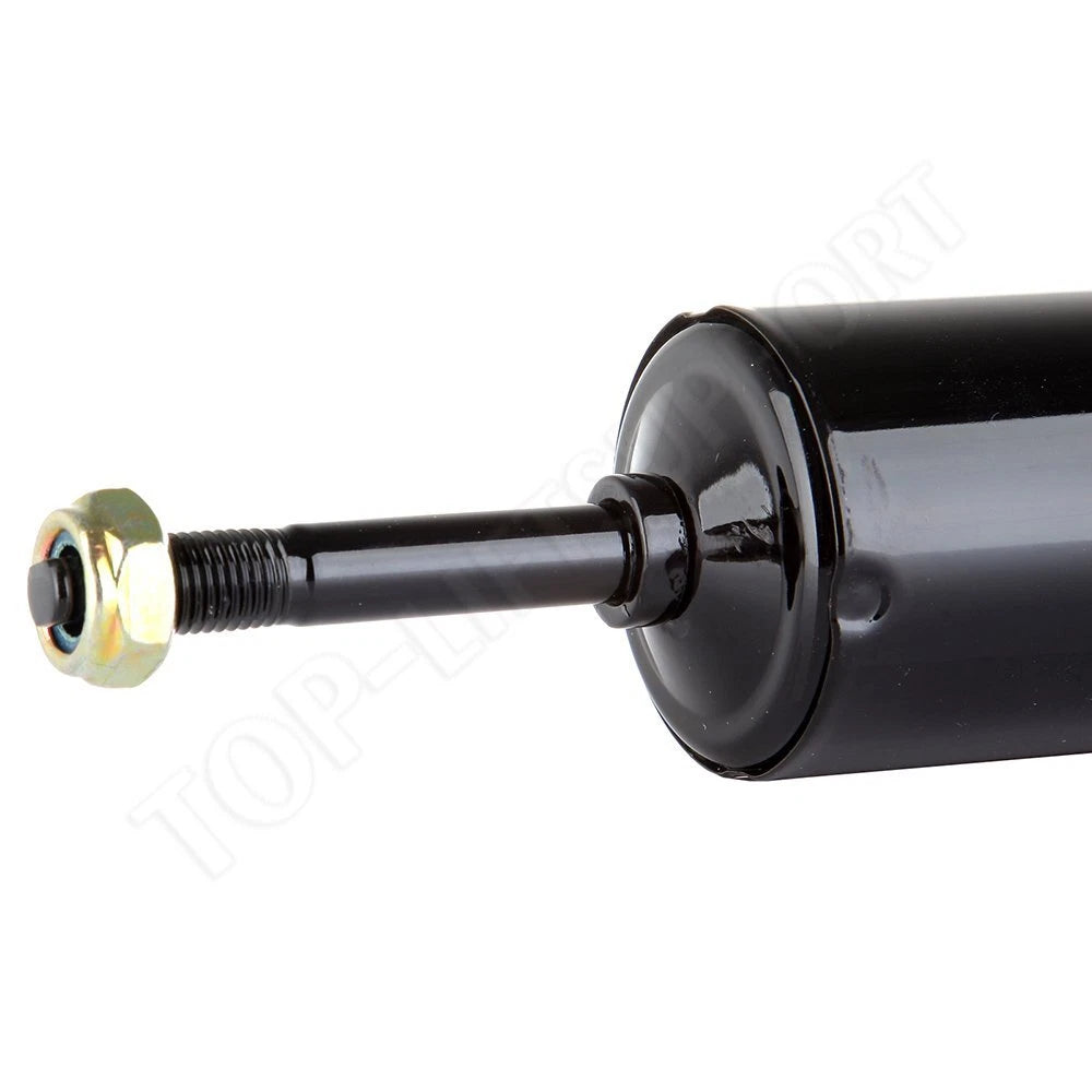 Rear Shocks & Struts for Ford Crown Victoria (1992–2002)