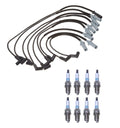 Denso Wire Set & 8 Iridium Spark Plugs for Dodge 5.2 5.9 V8 (1994–2003)