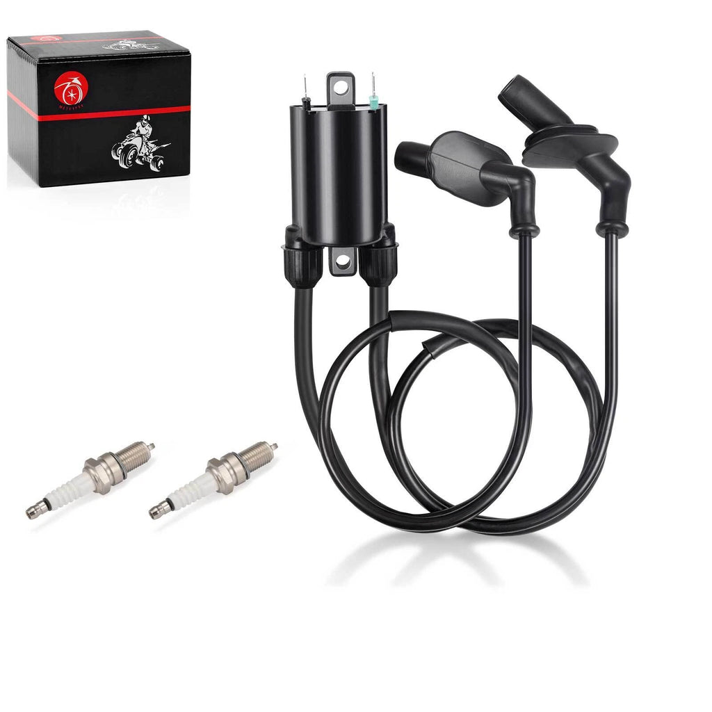 Ignition Coil & Spark Plug for Honda GL1500 Goldwing Valkyrie (1996–2000)