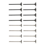 16pcs Engine Valves for GM ECOTEC 2.0 2.2 2.4 (2000–2010)