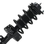 Front Left Right Struts w/ Coil Spring Assembly for Honda Odyssey (2008–2010)