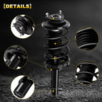 Set of 2 Complete Struts for Ford Focus (2000–2005)