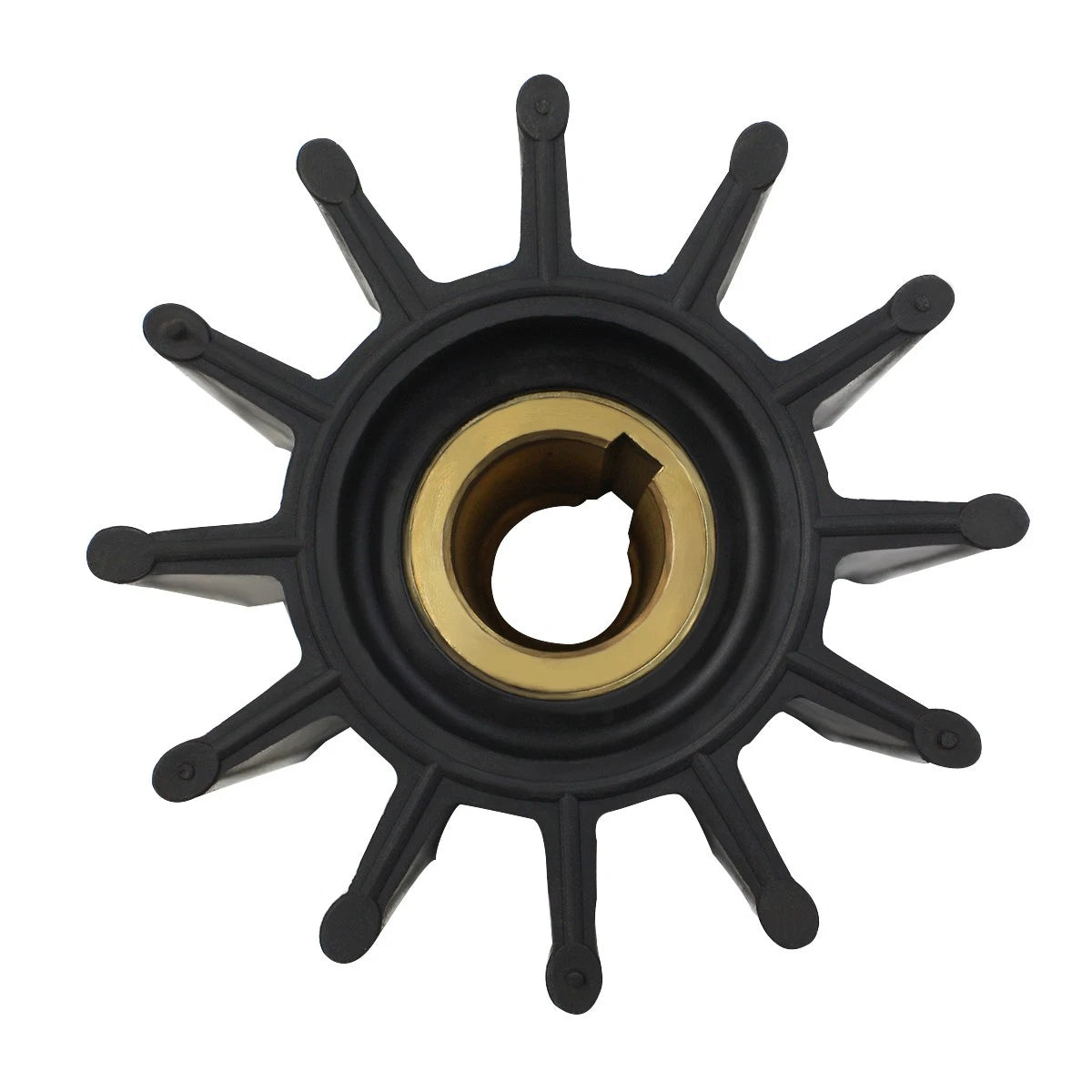 Water Pump Impeller Kit for Jabsco Johnson Sherwood (18958-0001, 17000K)