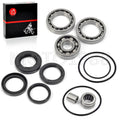 Rear Differential Bearing Seal Kit for Honda Fourtrax 300 TRX300FW (1988–2000)