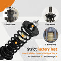 8pc Struts w/ Coil Spring Sway Bars for Honda Accord 2013–2017 2.4L