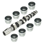 Tdi Camshaft & Lifters Kit for VW Jetta Golf Beetle ALH (1999–2006)
