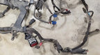 Engine Fuel Harness for Ford Thunderbird Cougar (1994–1995) 4.6L