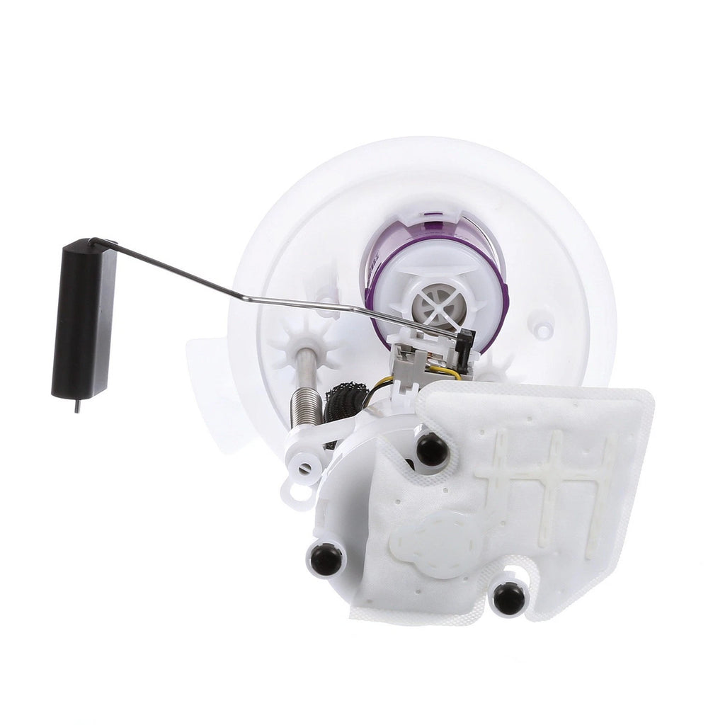Delphi FG0850 Fuel Pump Module Assembly for Ford F-150/Lincoln Mark LT (2004–2008)