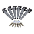 Set of 6 Ignition Coils & 6 Double Platinum Spark Plugs for BMW F30 F12