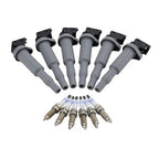 Set of 6 Ignition Coils & 6 Double Platinum Spark Plugs for BMW F30 F12